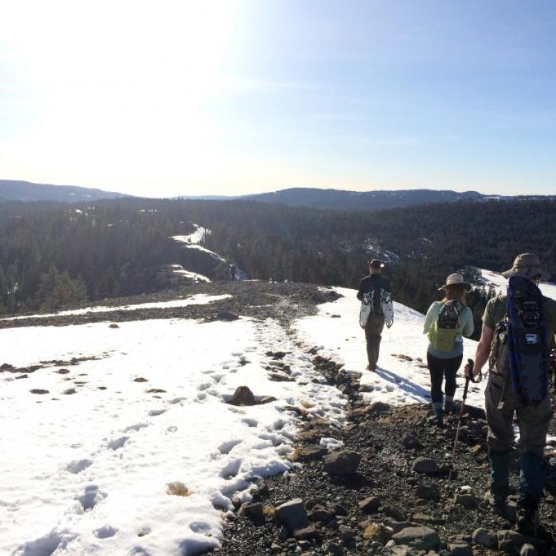 hiking through the snowy landscape
