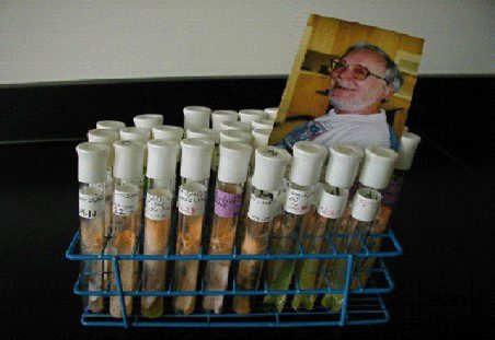 Test tubes from Bob's last experiment