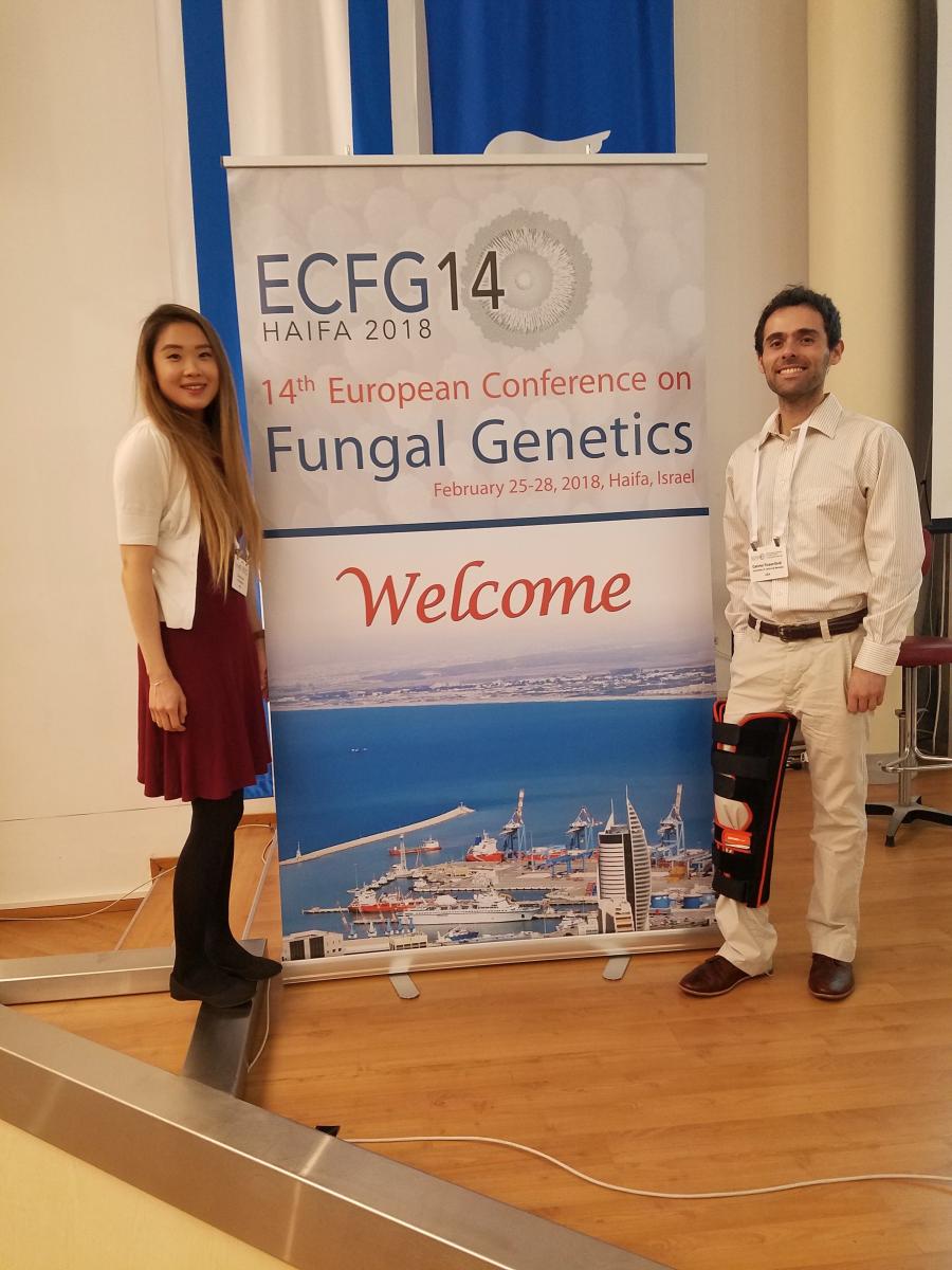 Glass Lab present at ECFG14 