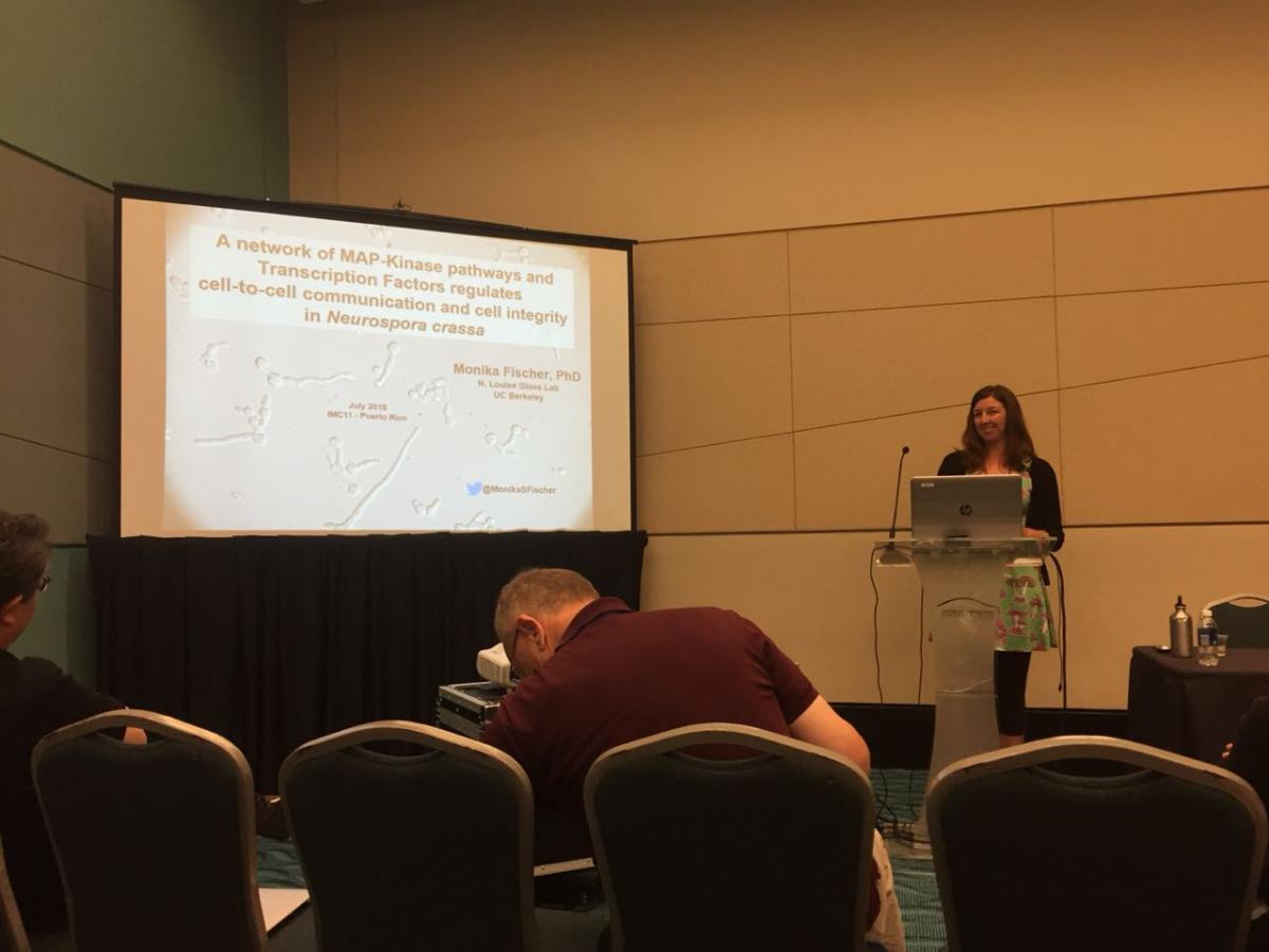 International Mycological Congress