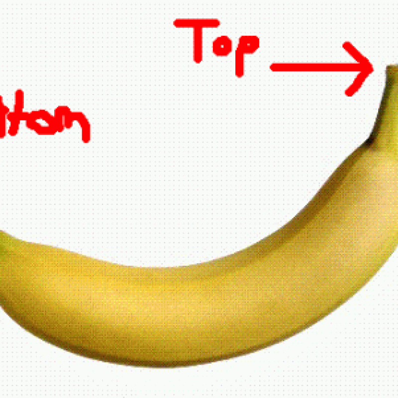 a diagram of a banana's top and bottom